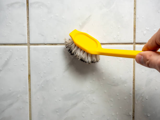 Best Mold Cleaning Services  in Nocatee, FL