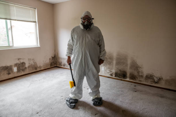 Best Professional Mold Removal  in Nocatee, FL